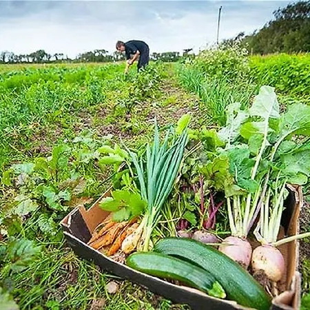Panzió Castle View House Ballylongford