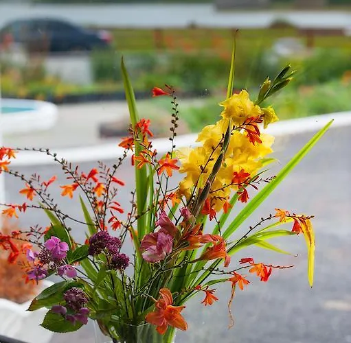 住宿加早餐酒店 城堡景观住宿加早餐旅馆 3*