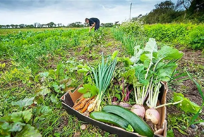 住宿加早餐酒店 城堡景观住宿加早餐旅馆 Ballylongford
